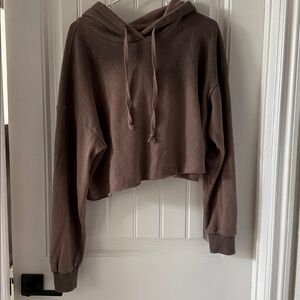 Brown Cropped Hoodie by Wild fable